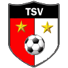 TSV Auerbach