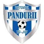 Viitorul Pandurii Targu Jiu