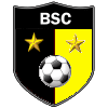 BSC Freiberg