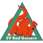 SV Bad Goisern