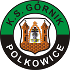 Gornik Polkowice