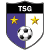 TSG 1899 Hoffenheim